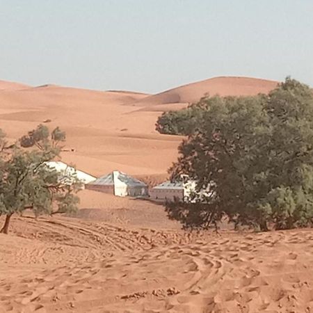 Bivouac Camel Trips Hotel Merzouga Eksteriør billede