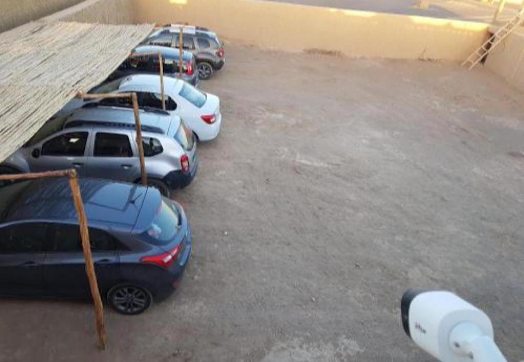 Bivouac Camel Trips Hotel Merzouga Eksteriør billede