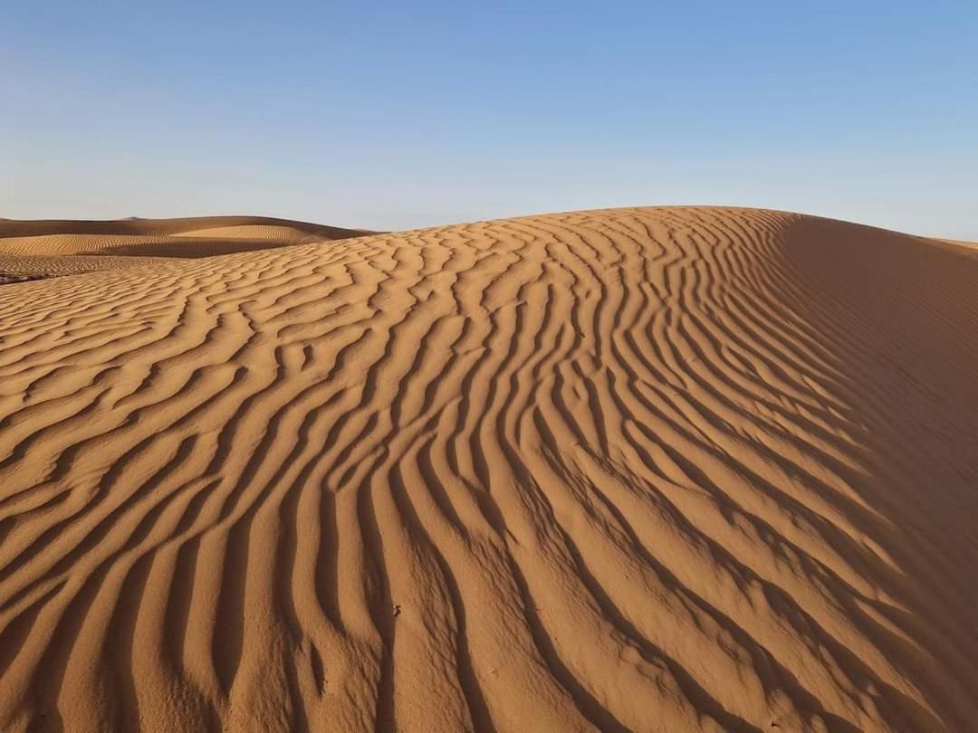 Bivouac Camel Trips Hotel Merzouga Eksteriør billede