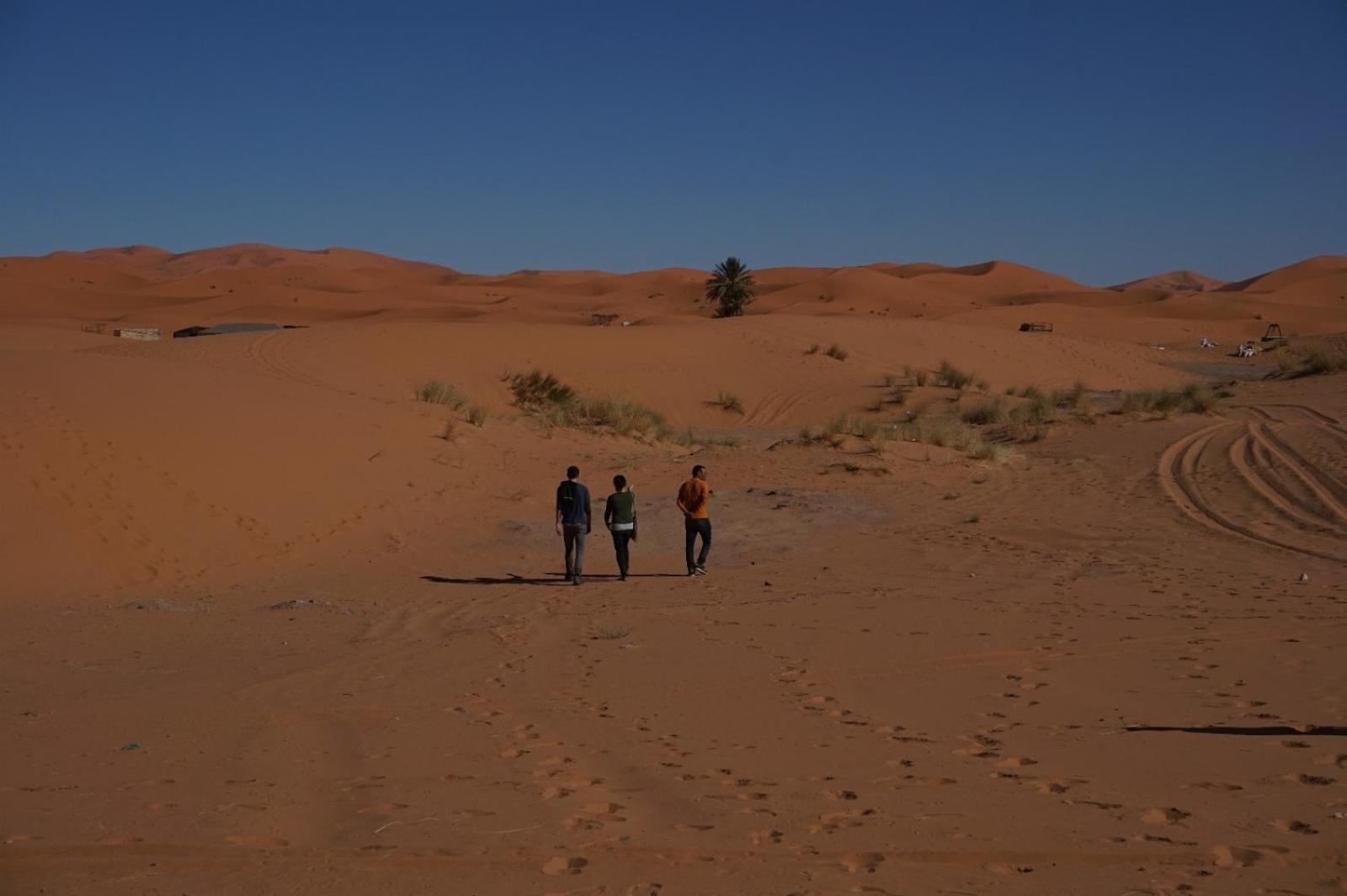 Bivouac Camel Trips Hotel Merzouga Eksteriør billede