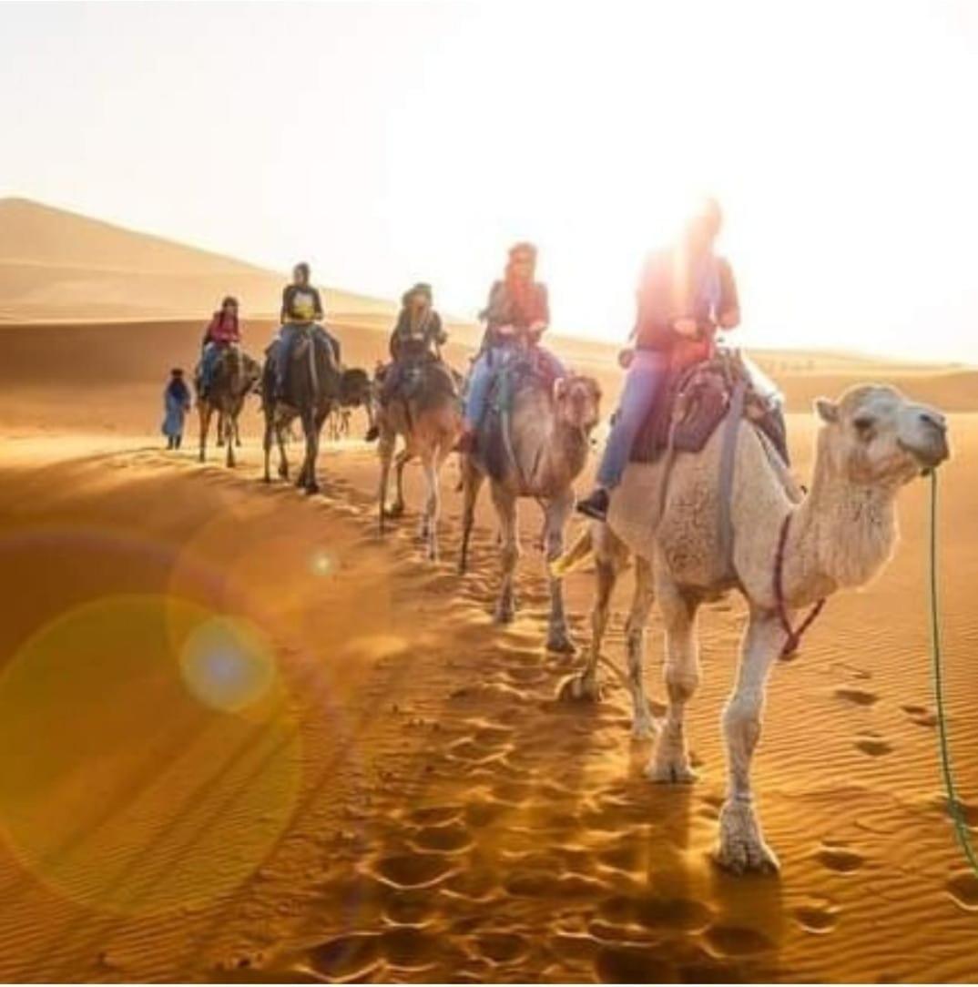 Bivouac Camel Trips Hotel Merzouga Eksteriør billede