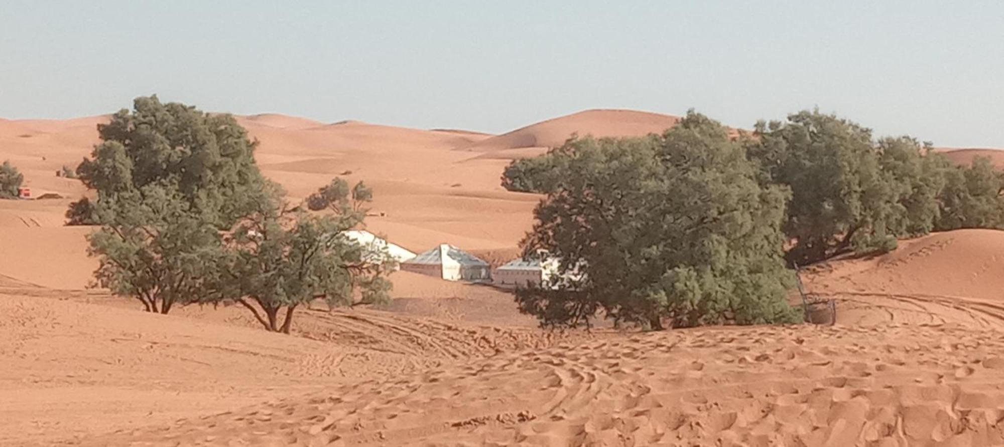 Bivouac Camel Trips Hotel Merzouga Eksteriør billede
