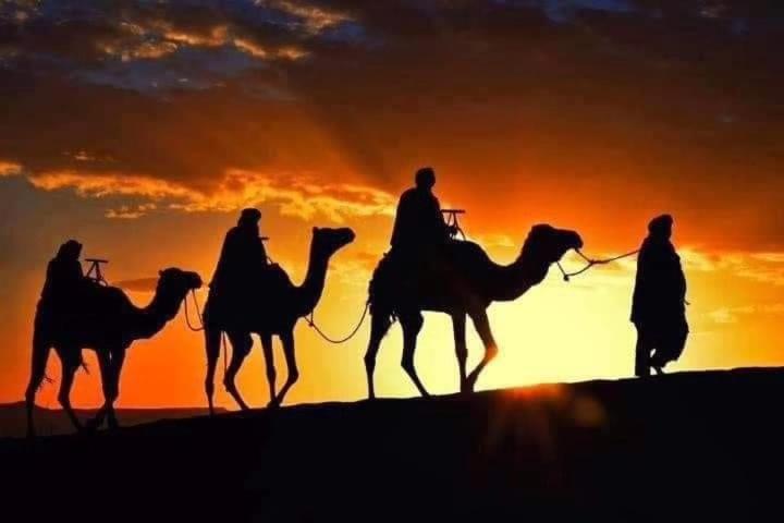 Bivouac Camel Trips Hotel Merzouga Eksteriør billede