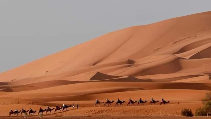 Bivouac Camel Trips Hotel Merzouga Eksteriør billede