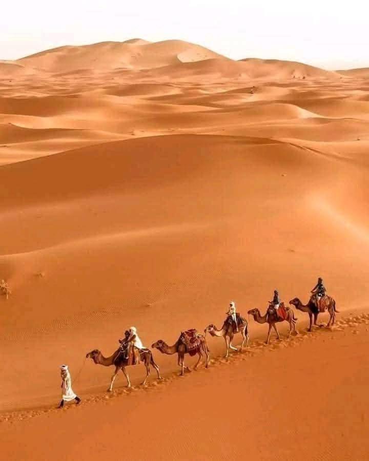 Bivouac Camel Trips Hotel Merzouga Eksteriør billede