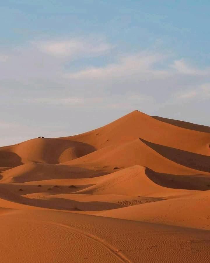 Bivouac Camel Trips Hotel Merzouga Eksteriør billede