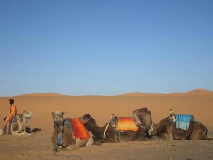 Bivouac Camel Trips Hotel Merzouga Eksteriør billede