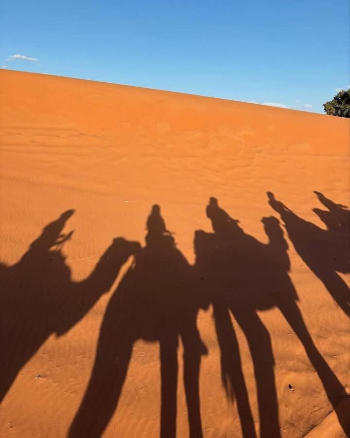 Bivouac Camel Trips Hotel Merzouga Eksteriør billede
