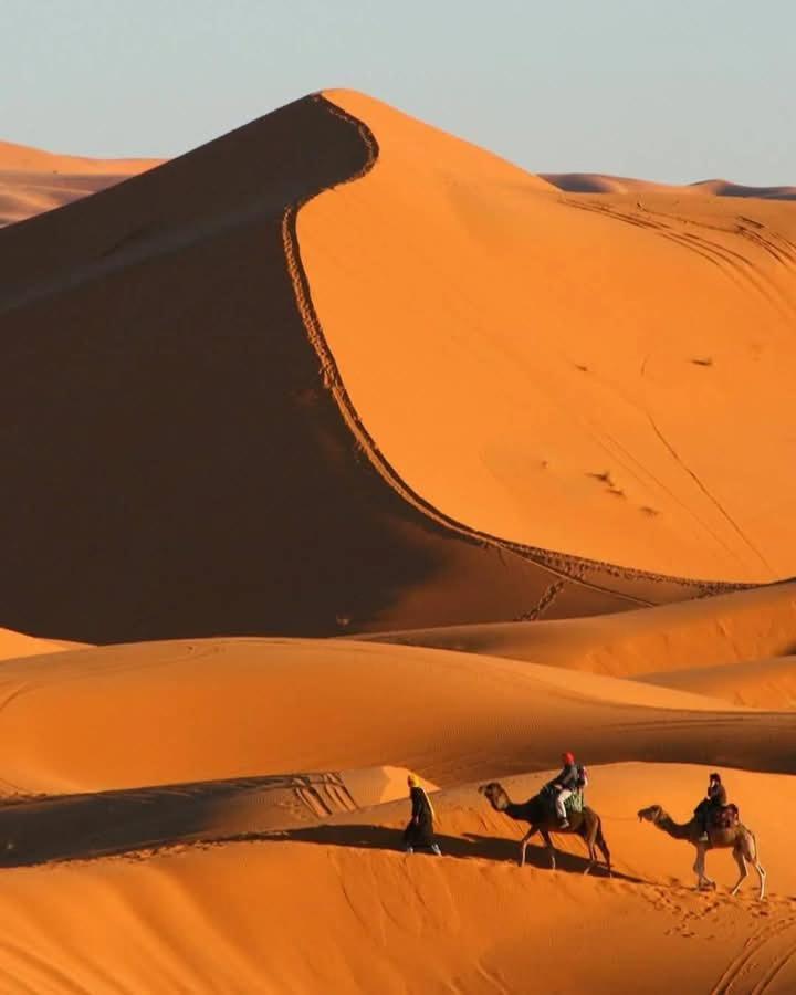 Bivouac Camel Trips Hotel Merzouga Eksteriør billede