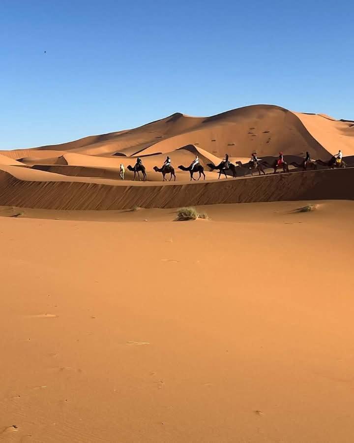 Bivouac Camel Trips Hotel Merzouga Eksteriør billede