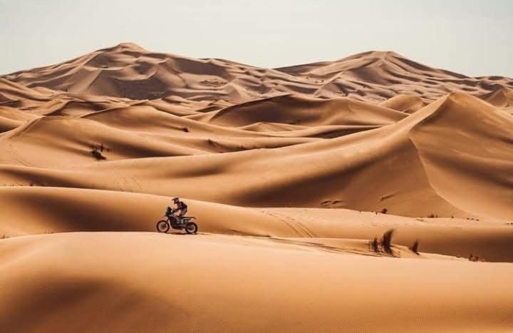 Bivouac Camel Trips Hotel Merzouga Eksteriør billede